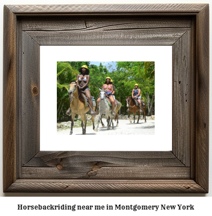 horseback riding near me in Montgomery, New York